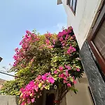 Shanti Vatika