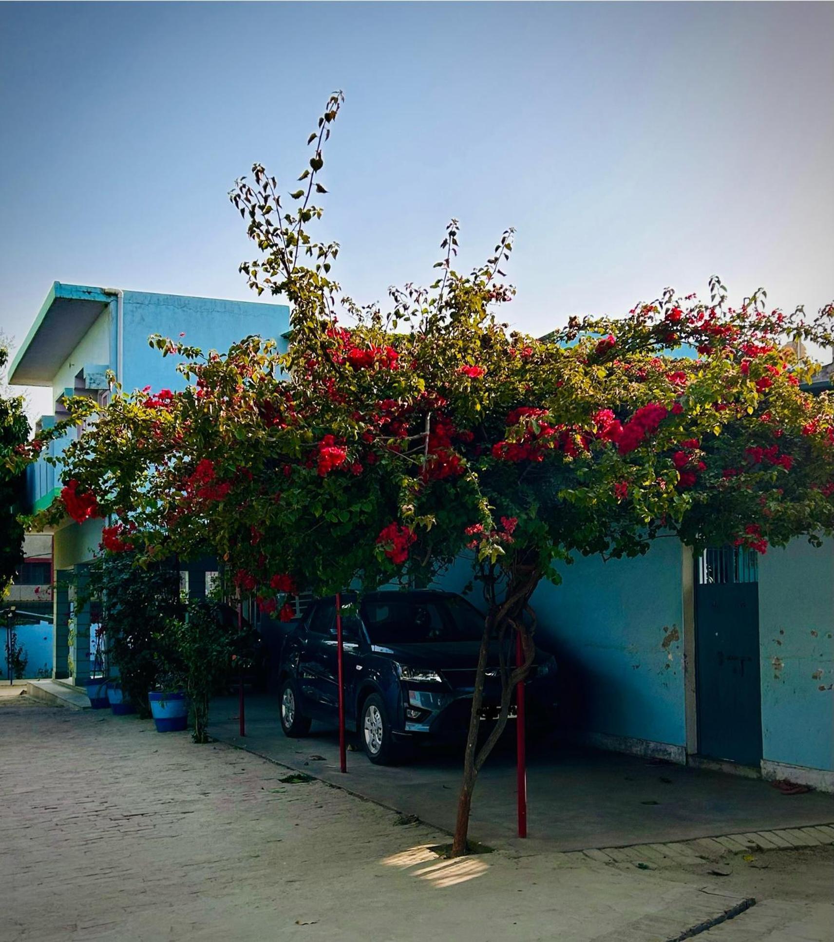Villa Gooseberry Garden Ayodhya