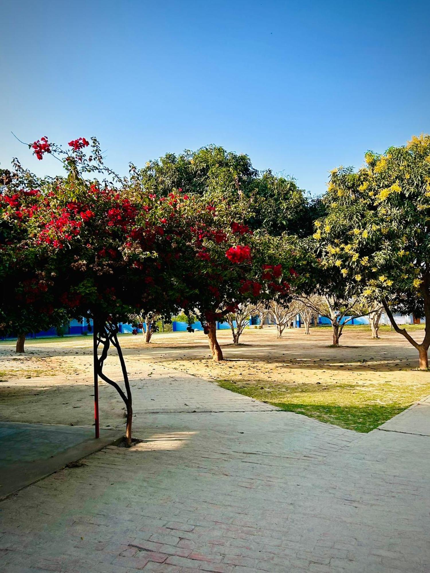 Villa Gooseberry Garden Ayodhya