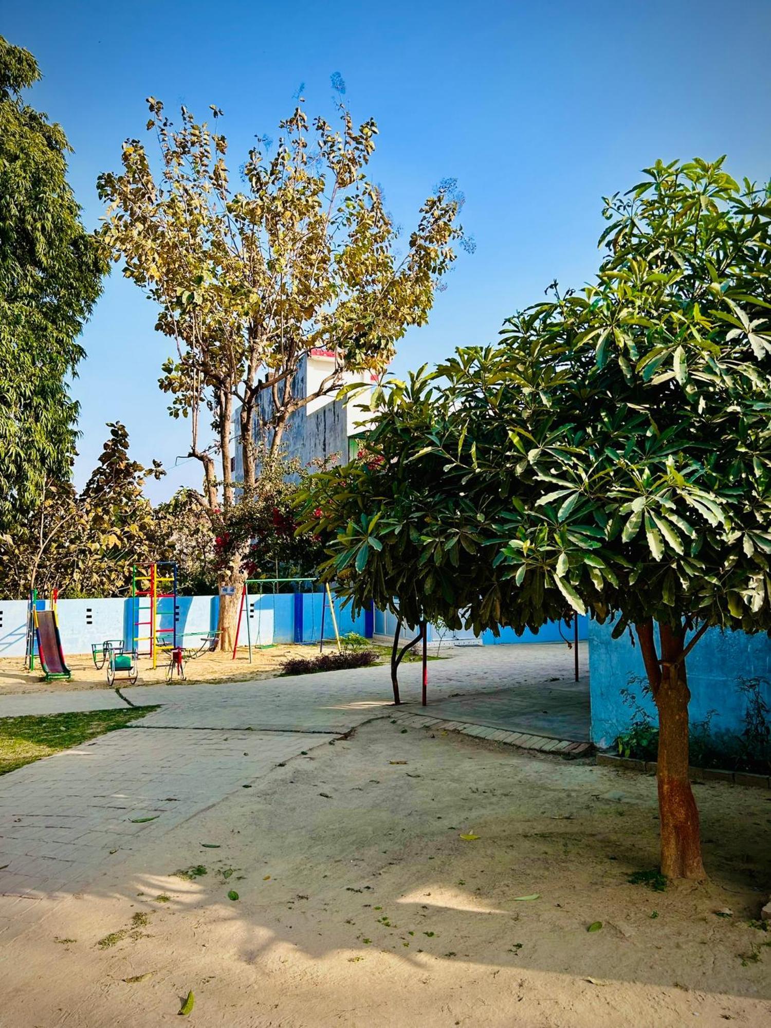 Gooseberry Garden * Ayodhya