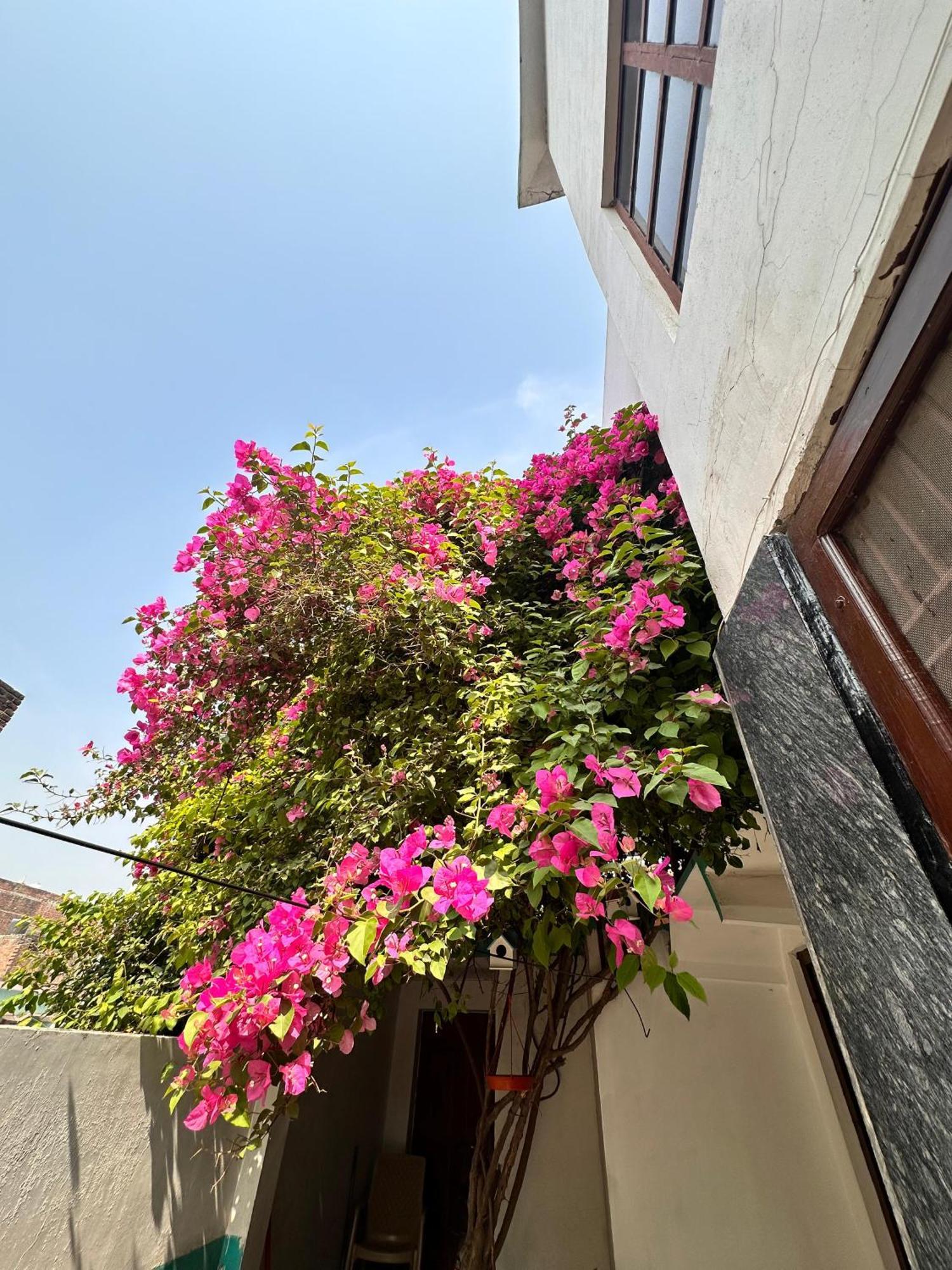 Homestay Shanti Vatika Ayodhya