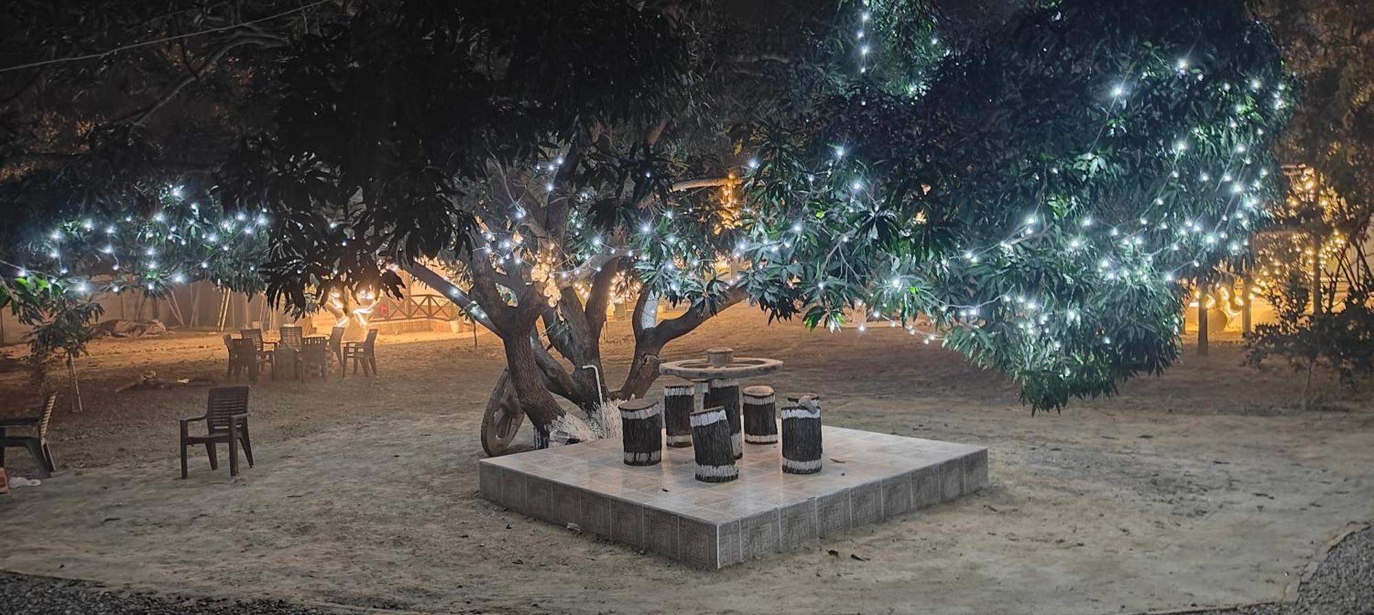 Shobhayan Inn, Airport Railway Station Pickup Free Campsite *